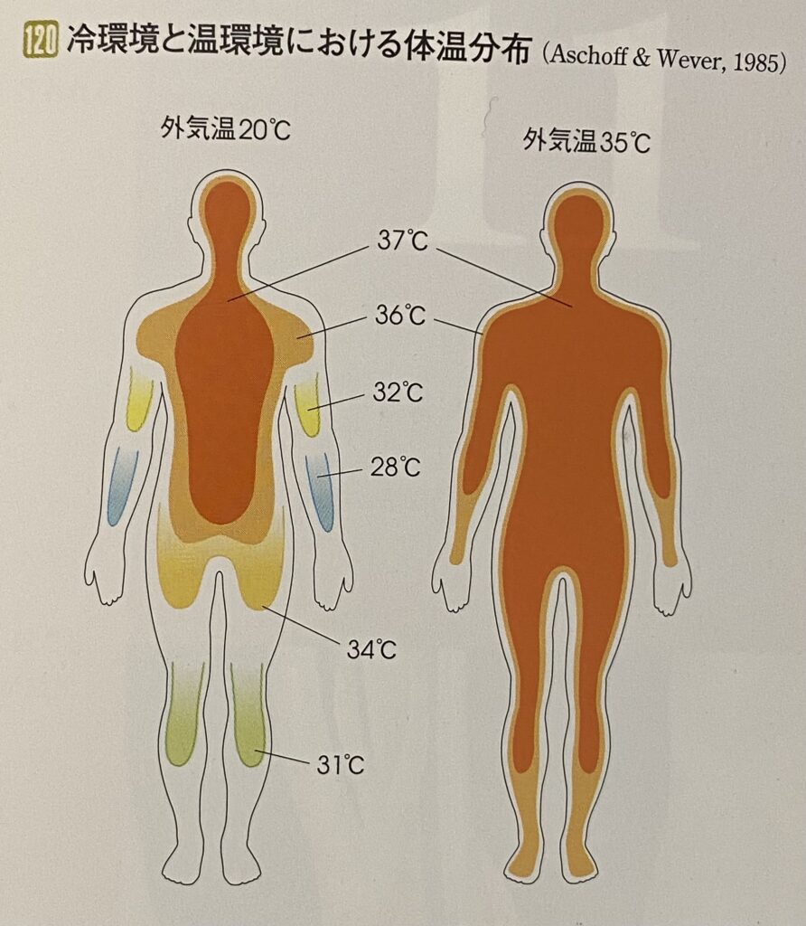 リキュア銀座・中山整体体温